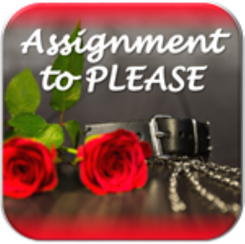 Volunteer Assignment